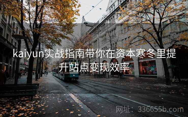 kaiyun实战指南带你在资本寒冬里提升站点变现效率 kaiyun实战指南带你在资本寒冬里提升站点变现效率