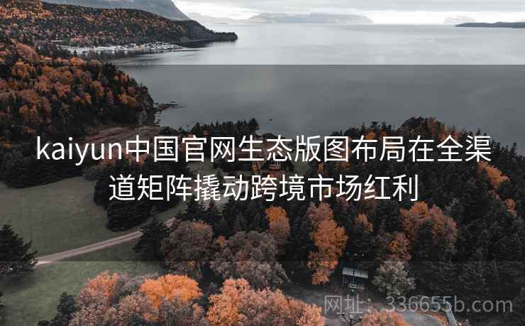kaiyun中国官网生态版图布局在全渠道矩阵撬动跨境市场红利